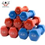 Hand Weights Vinyl Coated Dumbbells , Dumbbells For Women Pantone Number Color