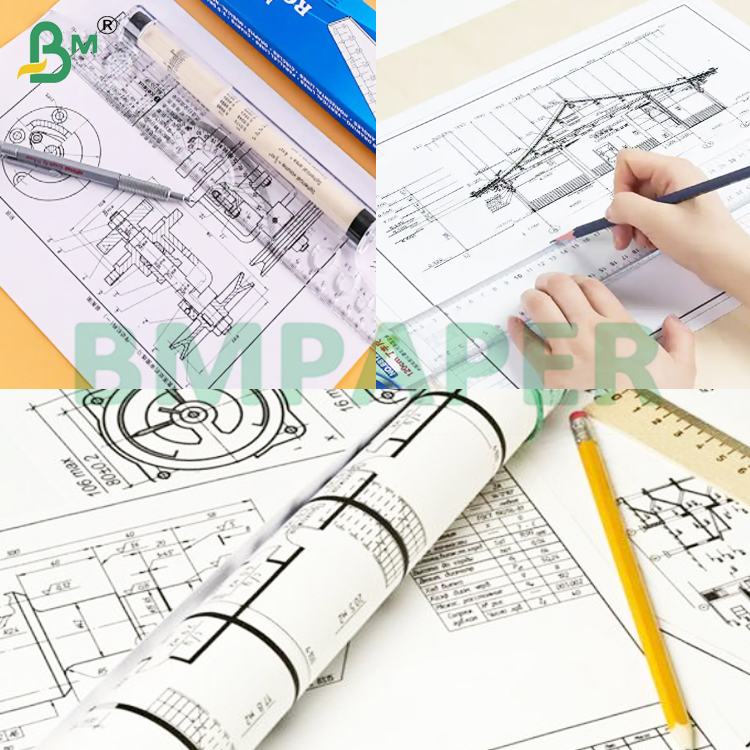 80gsm Double Side White CAD Plotter Paper Rolls for Printing