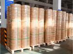 PP PET Strap Manufacturing Machine Twin Screw For Brick Kiln Industry
