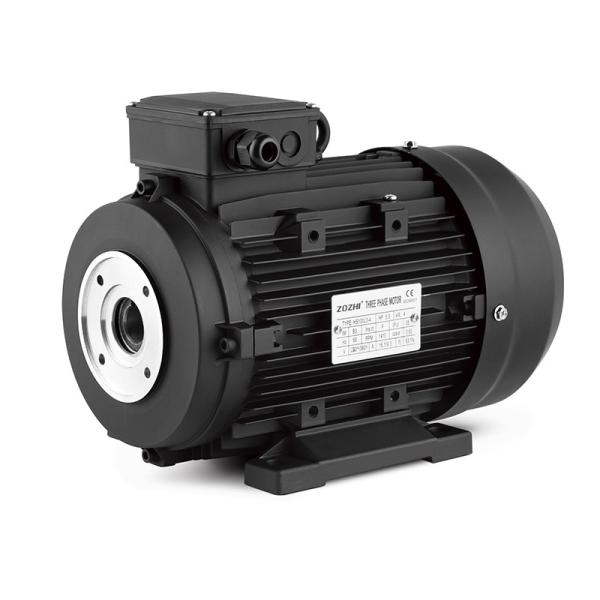 Three Phase Ac Powerful Hollow Shaft Motor 5.5Kw 7.5Hp For Italy High Pressure
