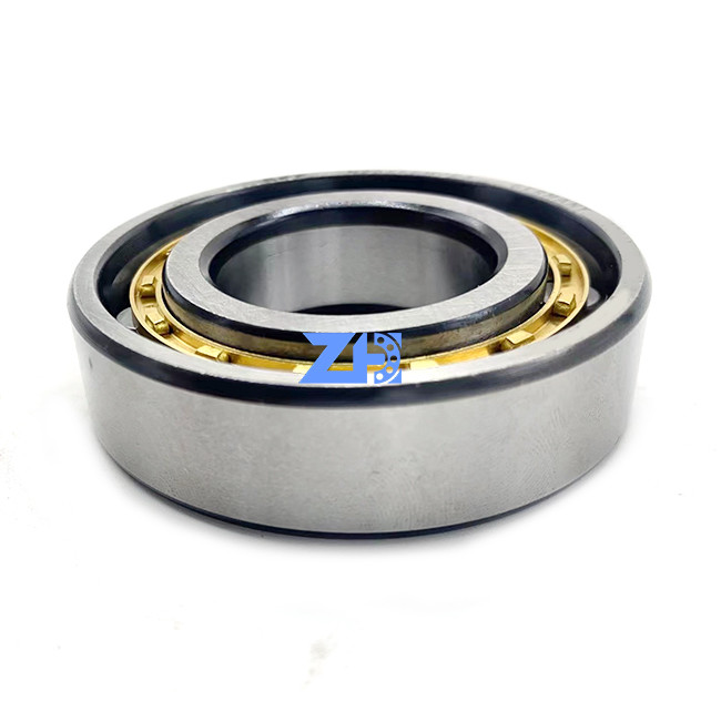 RN206ECM Cylindrical Roller Bearing 30*55.5*16mm hard-wearing single row Cylindrical roller bearings