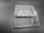 Tissue Culture Treatment 12 Well Plate Standard Packing Cell Culture Consumables