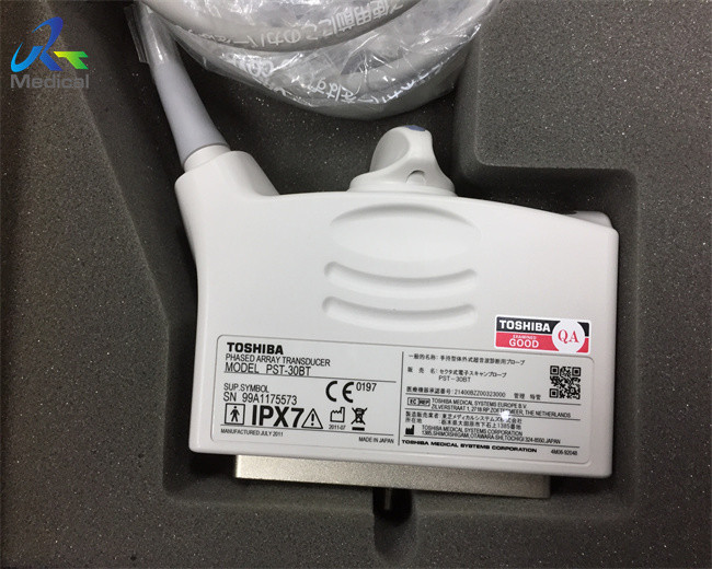 PST-30BT Sector Cardiac Ultrasound Scanner Probe Hospital Device
