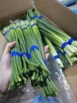 HACCP Fresh Garlic Bolt