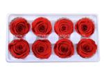 Dehydrated Eternal Long Lasting Roses In A Box Non-Toxic