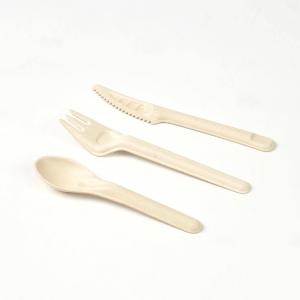 China 165mm White Compostable Sugarcane Bagasse Sugarcane Disposable Cutlery Fork Knife Spoon wholesale