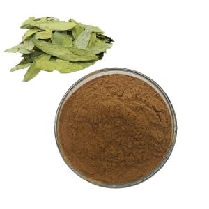 China Senna Powder, Senna Leaf Powder, Natural Senna Leaf Powder with Best Quality wholesale