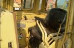 Sell Used Bulldozer CAT D6H Good One