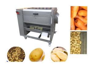 China Brush Type Fruit And Vegetable Peeler Machine Sweet Potato Washer Cleaner Machine wholesale
