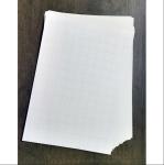210x297mm 160gsm Self Weeding Inkjet Transfer Paper With Iron