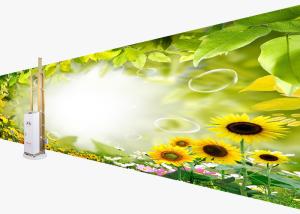 China Picture Printing Automatic Wall Painting Machine 2000mm Net Height Drawing wholesale
