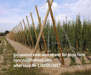 China Hotsfarm Galvanized Steel Wire Strand For Europe And American Markets on sale