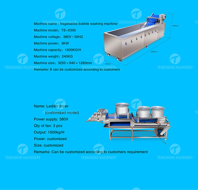 Multifunctional Fruit Sorting Machine Vegetable Washing Drying Production Line