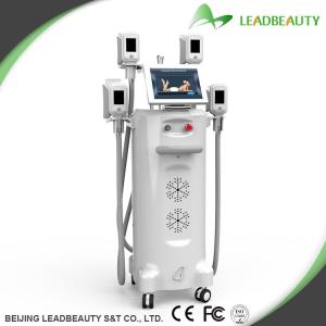 China CE approved professional cryolipolysis body slimming machine wholesale