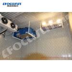 PLC controlled Vivid falling ski snow machine 200kg to 4500kg for Food Beverage
