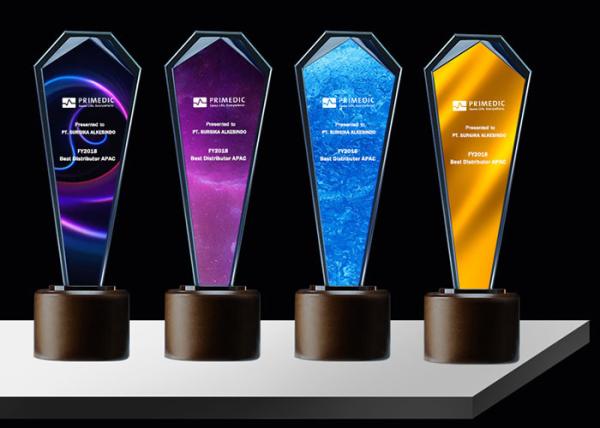 Sandblasting / Lasering Logo Glass And Crystal Trophies , Personalised Glass