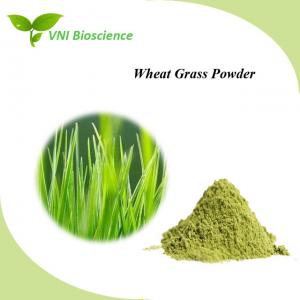 China Food Plant Herbal Extract Anti Aging Barley Grass Extract Powder wholesale