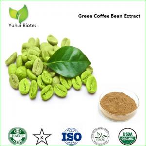 China green coffee extract capsules,kosher green coffee bean extract,green coffee extract powder wholesale