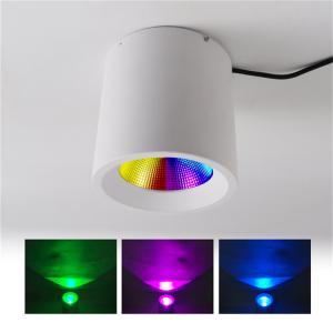 China Smart 60W RGBW Downlight for Creating Christmas Atmosphere on Indoor Entertainment wholesale