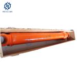 Excavator Spare Parts Mini Excavator Hydraulic Cylinder 4698938C Hydraulic