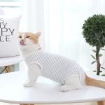 Casual Style Cats Wearing Clothes Blue / White Stripe Comfortable Fashionable