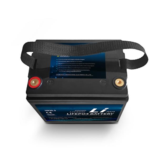 12V 50ah Pack Portable Power MSDS CE Certificate Lithium Lifepo4 Battery For