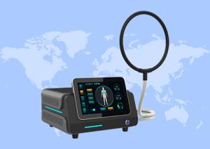 China Pmst Loop Pemf Therapy Machine for Human Pain Relief Animals Health Care wholesale