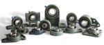 Dual Seal UCPA200 2 Bolt Cast Iron Pillow Blocks
