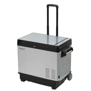 China DC 12V 25L Outdoor Camping Mini Automotive Fridge With Compressor And Battery wholesale