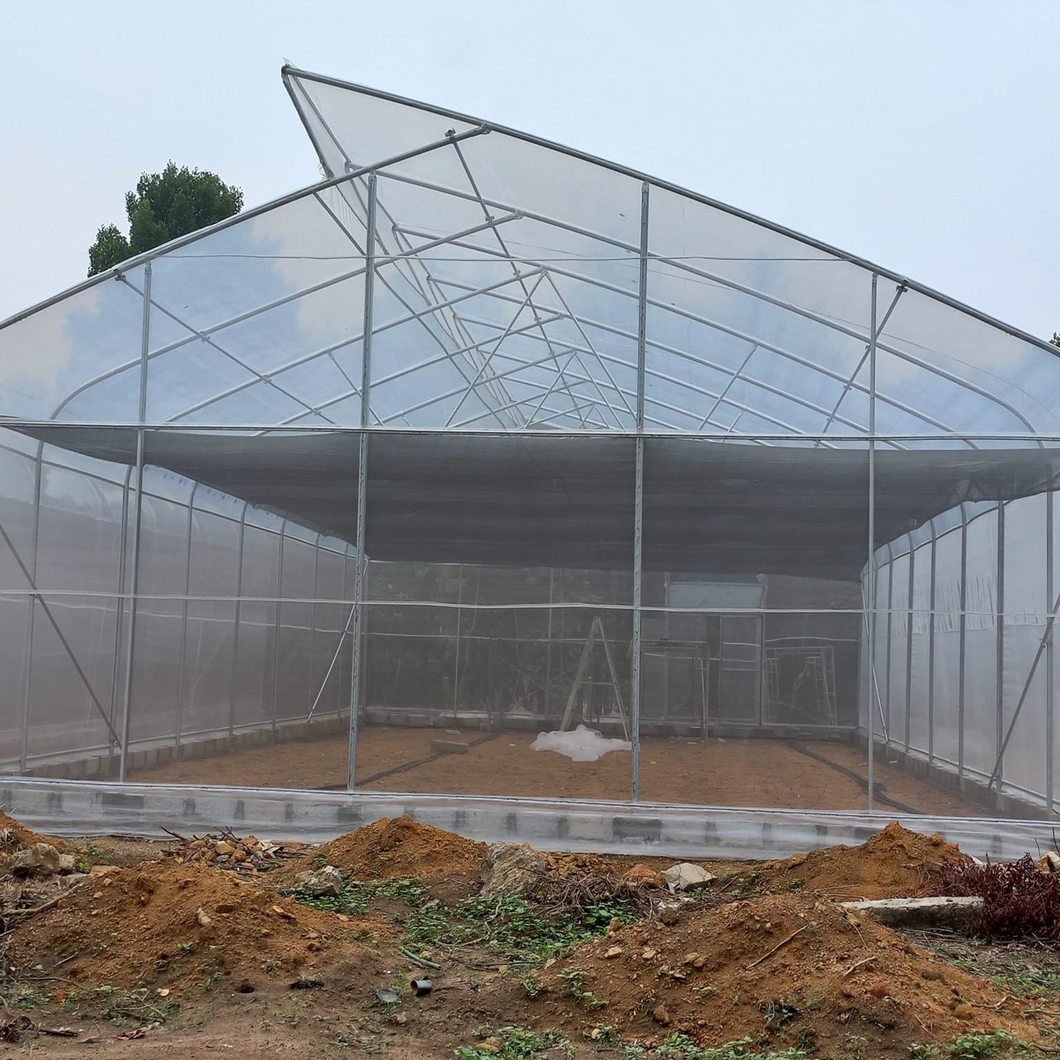 UV Film Agriculture Top Vent Tunnel Plastic Greenhouse Single Span Customized
