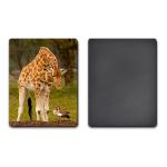 UV Offset Printing Lenticular 3D Fridge Magnets For Gift , Printed Fridge