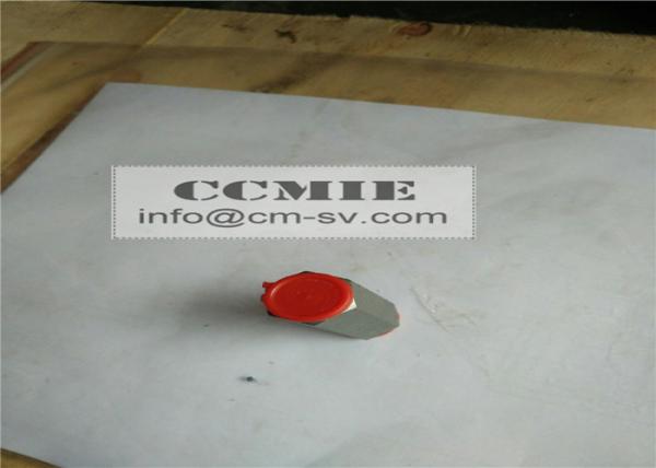 XCMG Anti Explosion Valve Truck Crane Parts SQ10ZK4Q CE / ROHS / FCC
