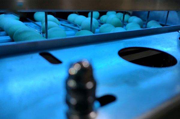 Egg Washing Grading Packing Machine Durable Large-Scale for Farm Processing Equipment