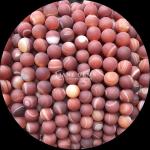 8mm Natural Gemstone Beads Gems Bead Various Banded Agate Frosted Loose Bead