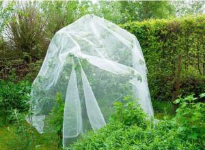 China Agricultural Anti Insect Net for Vegetable Gardens Insect Mesh wholesale