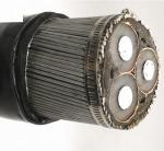 SWA STA Armour PVC Sheath Cable 10kv 3 Three Cores PVC XLPE PE Insulated