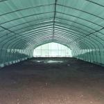 Agriculture Chinese Organic Mushroom Management Greenhouse Single-Span