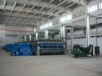 11000V Stationary / Land Diesel Gas Engine Power Plant CCS BV Certification