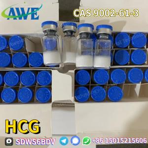 China Factory Supply Best Price Chorionic Gonadotropin/HCG 10iu/Vial CAS 9002-61-3 Safe Delivery USA Canada Australia Europe on sale