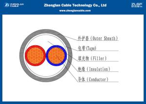China 0.6/1KV LV Two cores Power Cable (Unarmoured) , PVC Insulated Cable /Section :2*1.5~2*240mm²( CU/PVC/XLPE/LSZH） wholesale