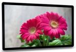 55 Inch 4K WIFI HD Indoor Digital Advertising Screens