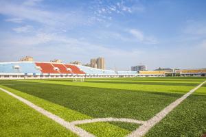 China SGS Certificate Artificial Turf Grass Synthetic Carpet Football Court wholesale