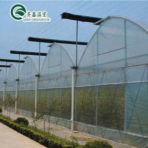 China Plastic Film Covered Polytunnel Greenhouse with Hydroponic System and Ventilation wholesale