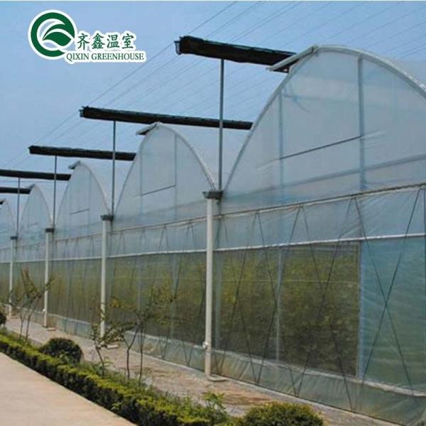 PE Grow Bags and Automatic Control System Ideal for South Korea Agricultural