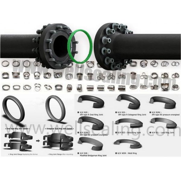 metal ring gaskets for bop BX156 SS316L