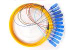 Length 1.5m SC UPC Fiber Optic Pigtail Single Mode SM 12core