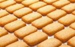Cookie Forming Machine YX-400 PLC Control Mini Cookie Machine Capacity 100kg /