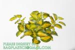 Palm Leaves Artificial Tropical Monstera-84Pcs 6 Kinds Large Small Green Fake