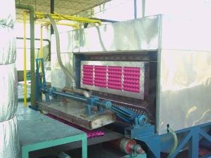 China Waste Paper Pulp Egg Tray Making Machine , Recycling Small Egg Tray Machine wholesale
