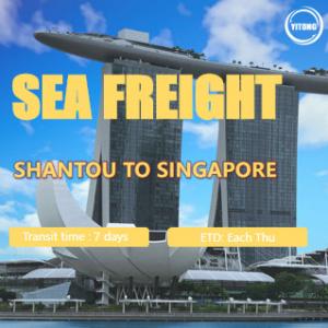 China International Sea Freight from Shantou to Singapore Port to Port wholesale